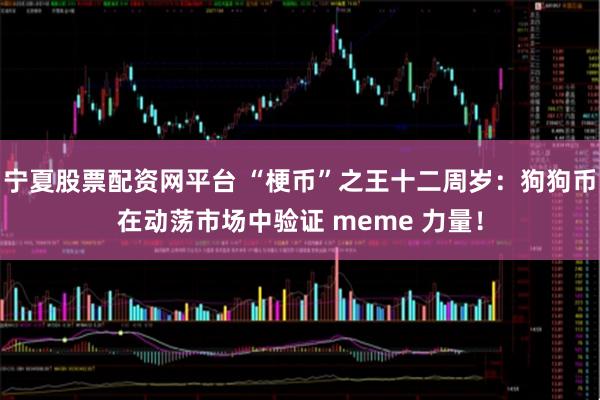 宁夏股票配资网平台 “梗币”之王十二周岁：狗狗币在动荡市场中验证 meme 力量！