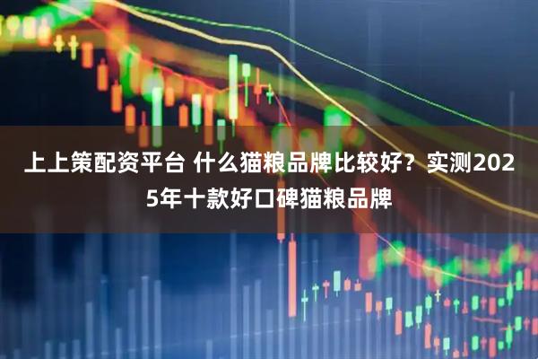 上上策配资平台 什么猫粮品牌比较好？实测2025年十款好口碑猫粮品牌